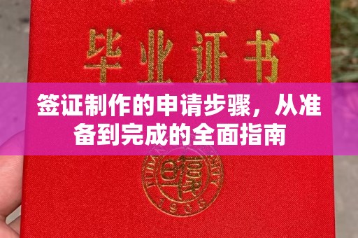 台中签证制作的申请步骤，从准备到完成的全面指南
